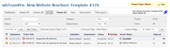 wbTeamPro Project Ticketing Integration